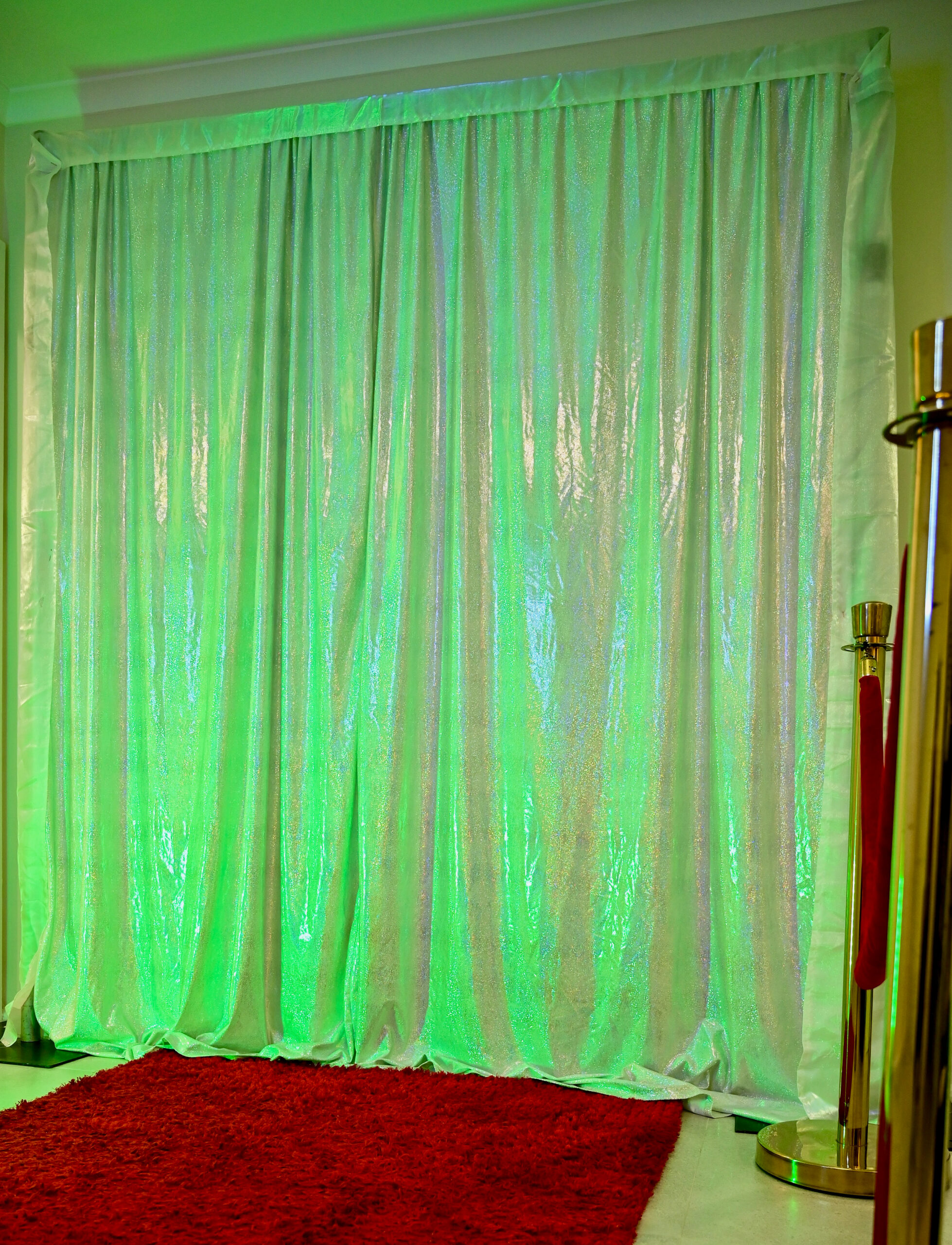 Silver shimmer backdrop Melbourne